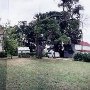 Armentrout Farm