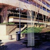 Main Street Center Patio