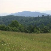 Golf Course Road - Rockbridge County