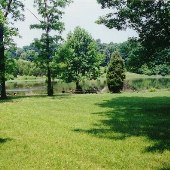 Lake Manassas Marina