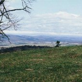 Scenics - Middlebrook Area