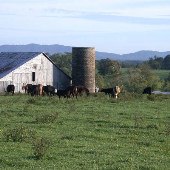 Jones Mill Farm
