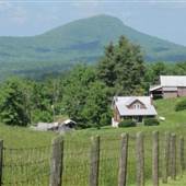 Floyd Log Homes