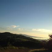 Carter Mountain Orchard