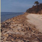 G. Floyd Beach Property