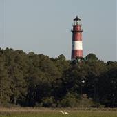 Assateague Light House