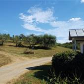 Graves Mountain Orchard