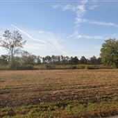 Blue Ridge Road