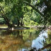 Nottaway River