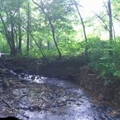 Mill at Fine Creek