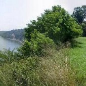 Stratford Hall Cliffs