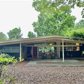 Ivy Midcentury