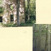 Woodberry Mill Ruins