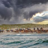 Chincoteague Pony Swim
