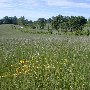 Route 231 - Revercombs Corner