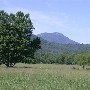 Route 231 - Revercombs Corner