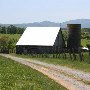 Henley Orchard Farm