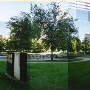 Central Fidelity Plaza
