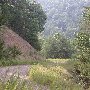Forest Route 384