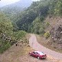 Forest Route 384