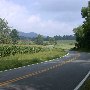 Scenic Roadshots - Rt. 231