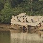 Dan River Queen