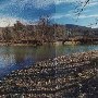 Rt. 628 - Williamsville Rivers