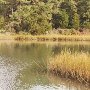Davis Creek