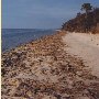 G. Floyd Beach Property