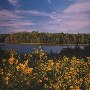 Swift Creek Reservoir