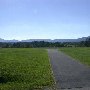 Mirador Estate and Horse Farm