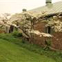 Glenfiddich Farm