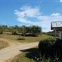 Graves Mountain Orchard
