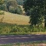 Scenic Roadshots - Rt. 231