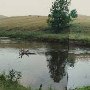 Adam's River Crossing