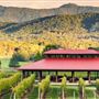 Afton Mountain Vineyards