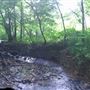 Mill at Fine Creek