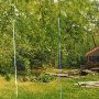 Beaverpond Mill