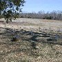 Belmead Historic Cemetery