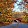 Colonial Parkway
