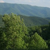 Head Waters Mountains