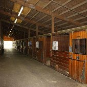 Carlton Farms