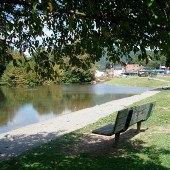 Narrows Duck Pond