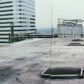 Hermitage Building Rooftop