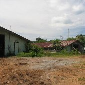 Chicken Farm