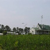 Brunswick White Farmhouse