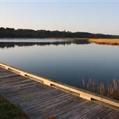 Chincoteague National Wildlife Refuge