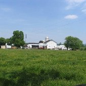 Dogwood Farm