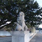 Lions Bridge