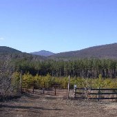 Buffalo Ridge